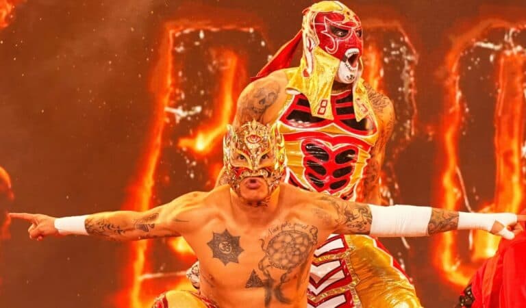 Lucha Bros