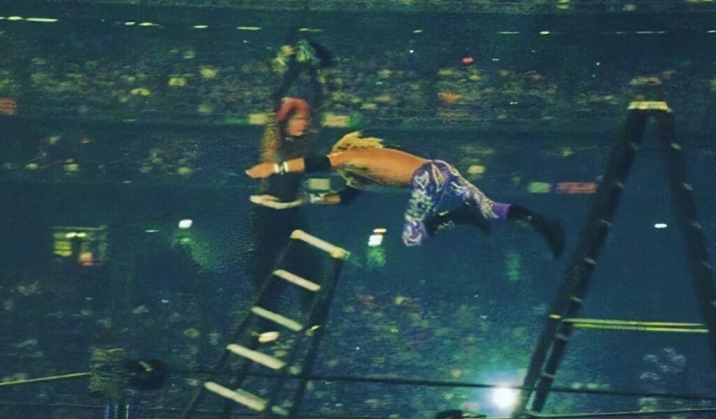 Edge Spears Jeff Hardy - WrestleMania 17